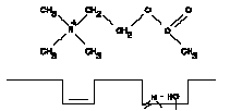Hydrolysis of Acetylcholine - 1.