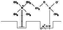 Hydrolysis of Acetylcholine - 2