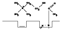 Hydolysis of Acetylcholine - 3