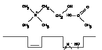 Hydolysis of Acetylcholine - 4