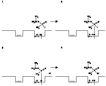 GB and AChE Reactions