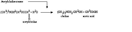 Overall Reaction Occurring During Hydrolysis